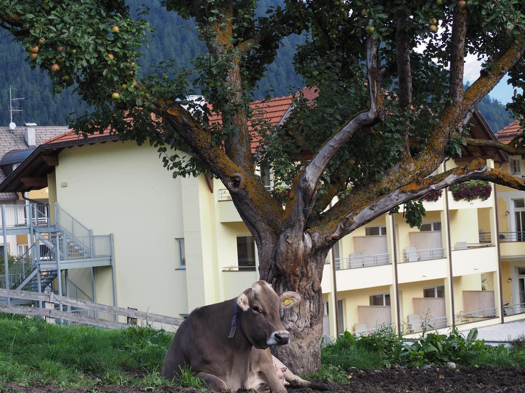 Villa Obermairhof à Olang Extérieur photo